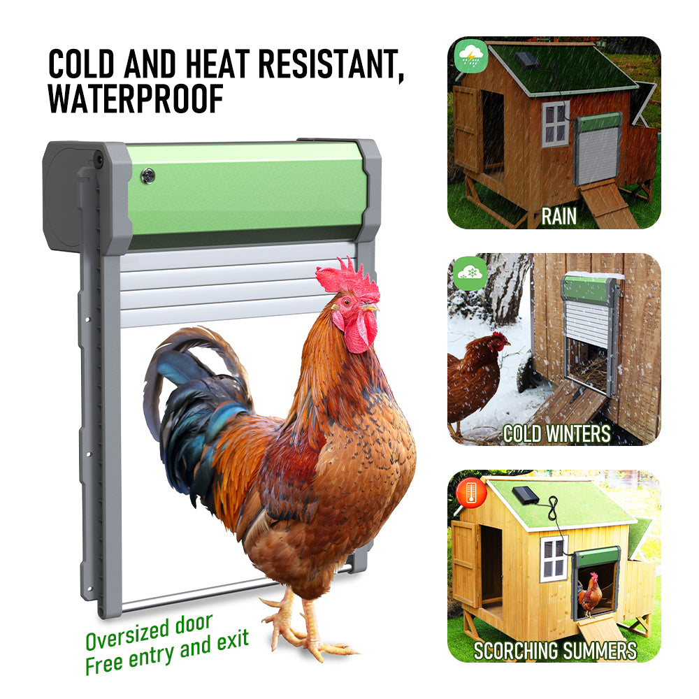 Solar Powere Automatic Chicken Coop Door Waterproof Cage Closer Opener Anti-Pinch with Timer Auto Light Sensor and Remote Control One Year Warranty