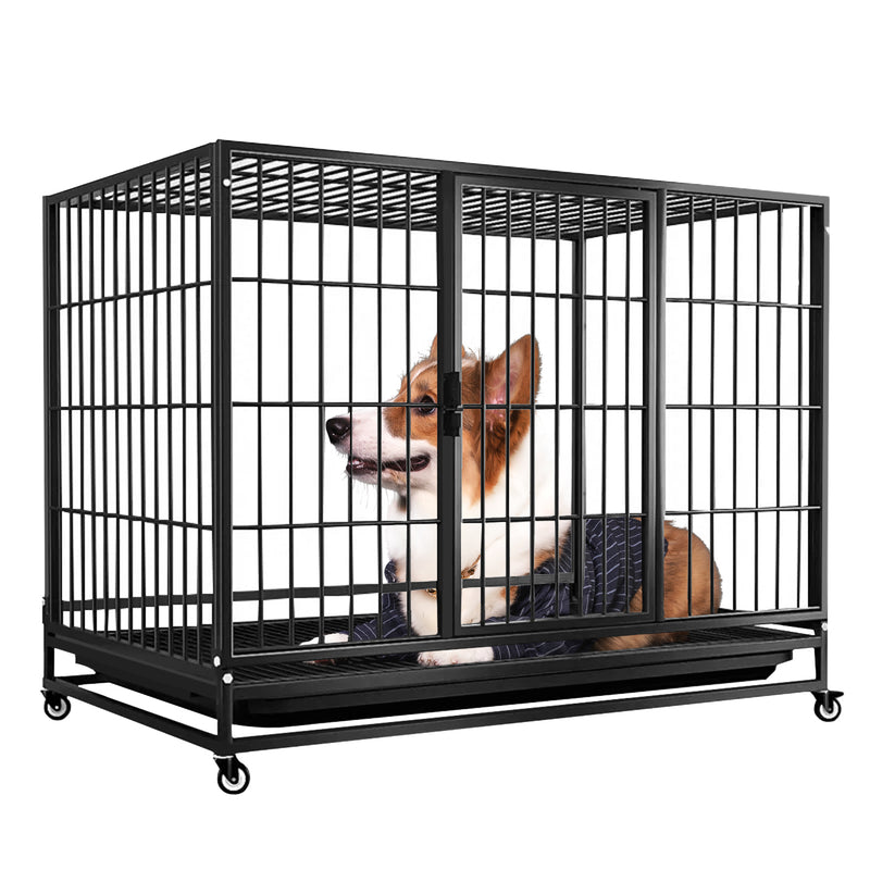 Stackable kennels outlet