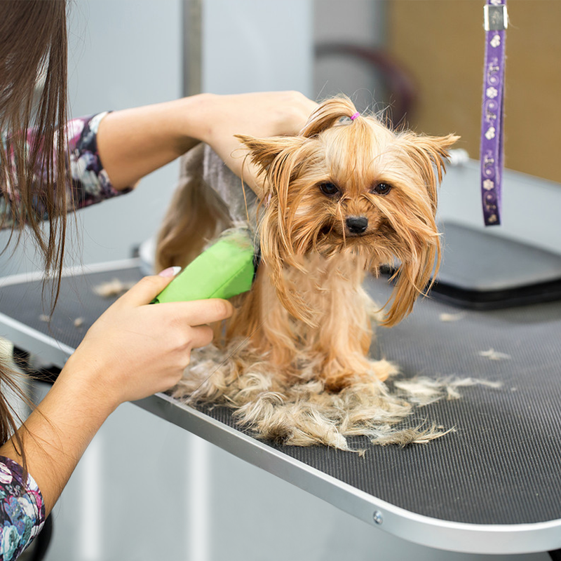 Folding Non-Slip Grooming Table with Adjustable Arm for Pet Bathing and Grooming