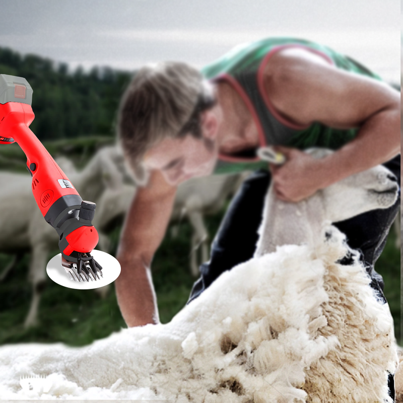 3500RPM Cordless Electric Sheep Shears with Extra 9 Straight Tooth Blades  Wool Animal Clipper Kit for Shearing Sheep Goats Cattle --Skin Only