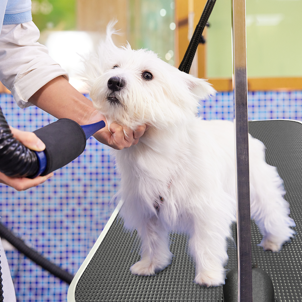 Folding Non-Slip Grooming Table with Adjustable Arm for Pet Bathing and Grooming