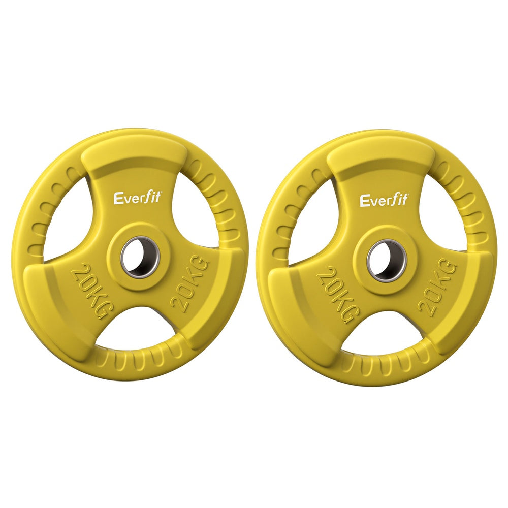 Everfit Weight Plates Standard 20kgx2 Dumbbell Barbell Plate Weight Lifting Home Gym Yellow