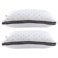 Giselle 2pcs Pillows Microfibre