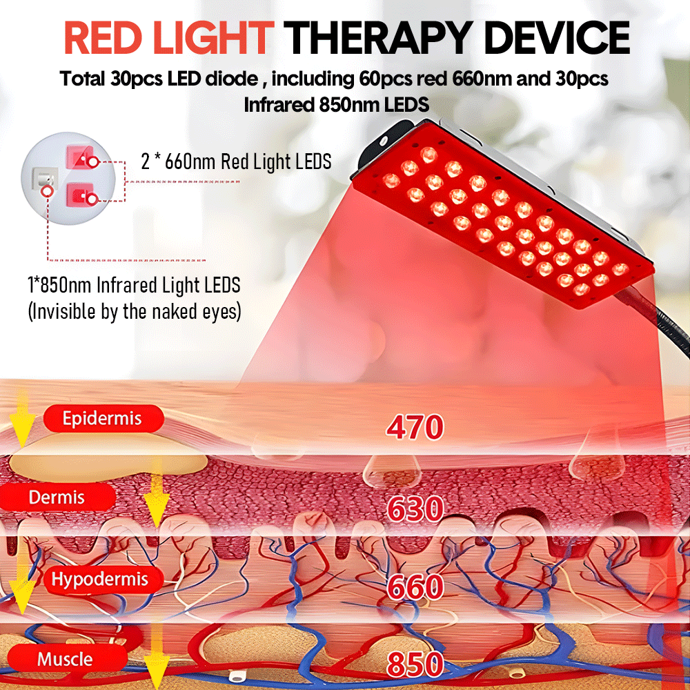 2 Head Red Light Therapy Lamp Dual Infrared Red Infrared Lamps 660nm and 850nm with Height Adjustable Tripod Stand and Therapy Glasses for Body Skin Back