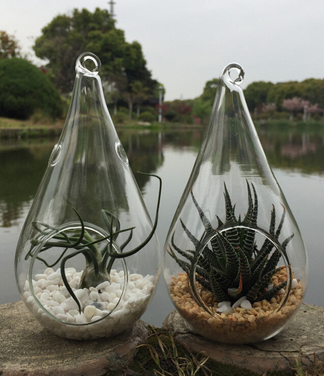 4 Pack of Hanging Clear Glass Tealight Candle Holder Tear Drop Pear Shape - 12cm High - Terrarium Plant Mini Garden Holder Decor