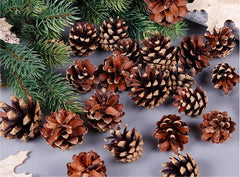 18 Christmas Natural Pine Cones Xmas Tree Hanging Home Decoration Ornament Gifts, 18x Natural Pinecones